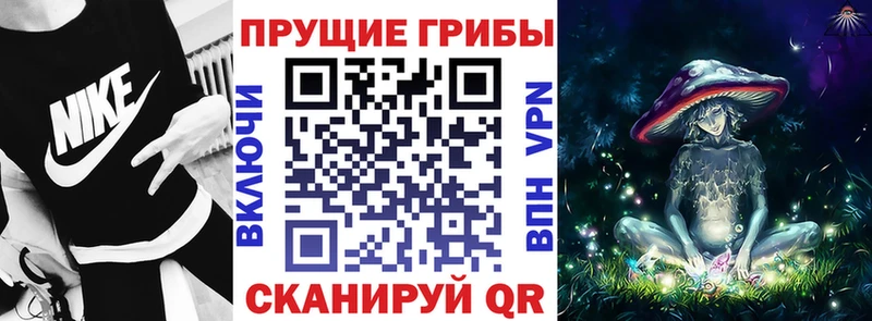 сколько стоит  Пущино  кракен зеркало  Галлюциногенные грибы мицелий 